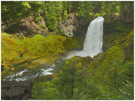 Koosha Falls on the McKenzie River in Oregon