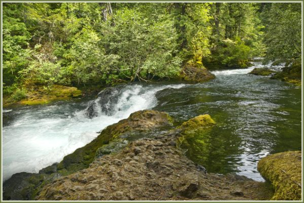 Along the McKenzie River south of Koosha Falls