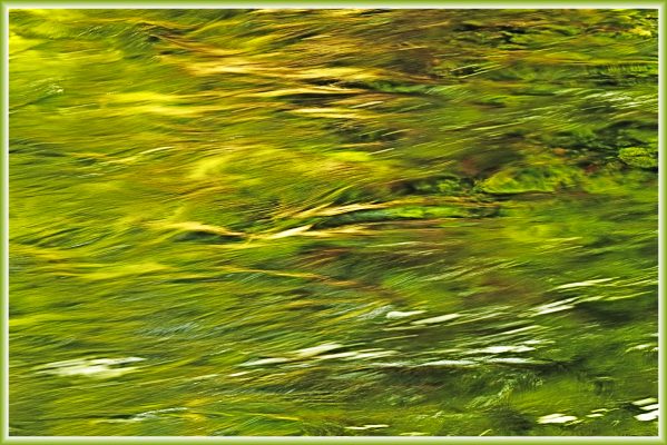 Reflections in the McKenzie River