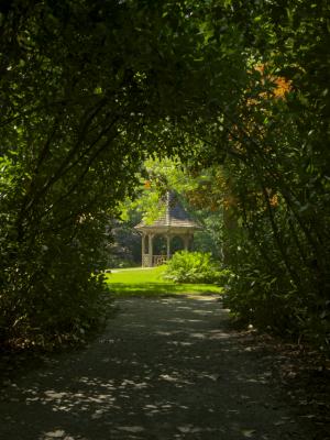 View of the gazebo