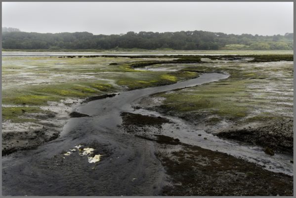 Wide view near the Kirby Park boardwalk