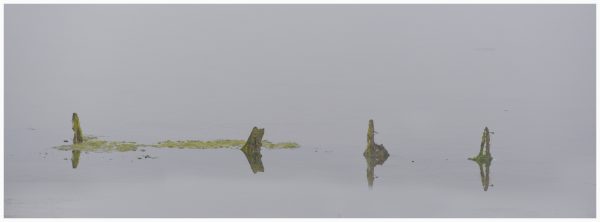 Abstract of posts at Kirby Park