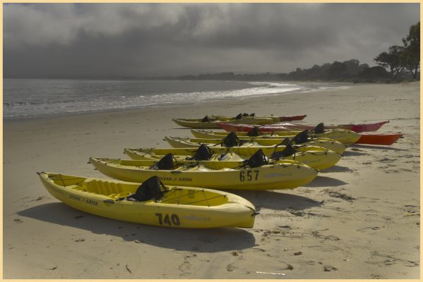 Morning at Monterey Bay Park