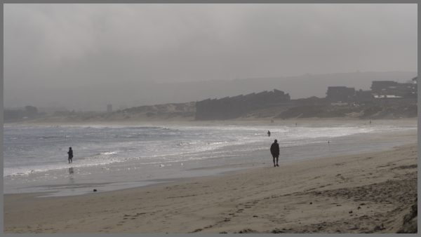 A view at Monterey Bay Park