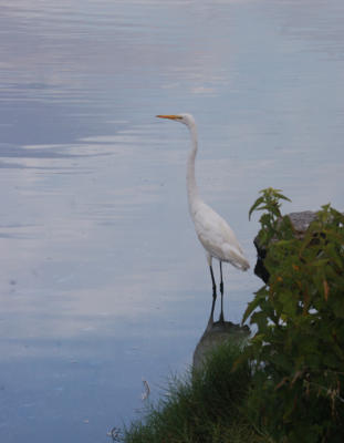 Day1birding3