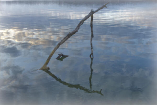 Abstract at West Bank Park, March 2022