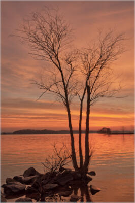 Lake Lanier Sunrise, March 2022
