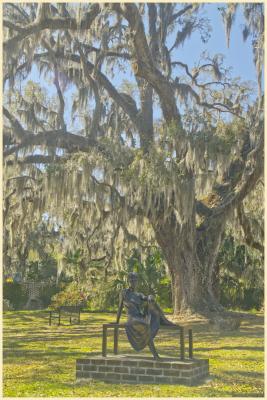 Spanish moss in the mrytles at Brookgreen Gardens