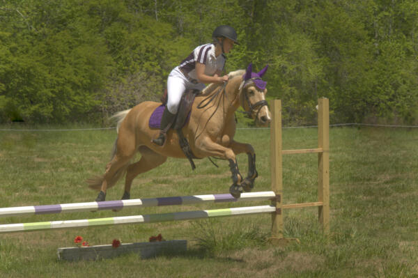Clara's stablemate jumping