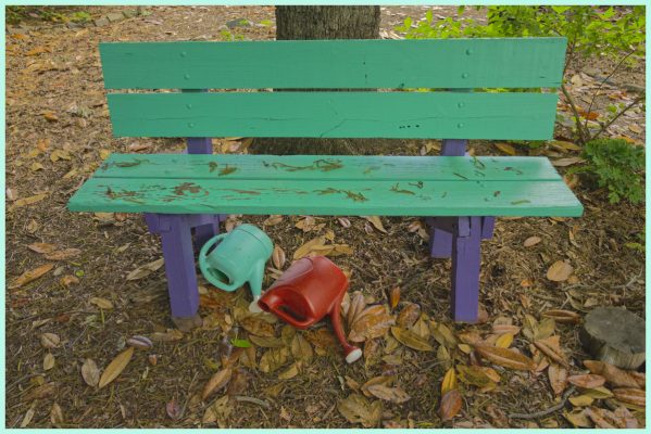 A bench in the Beeloved Garden