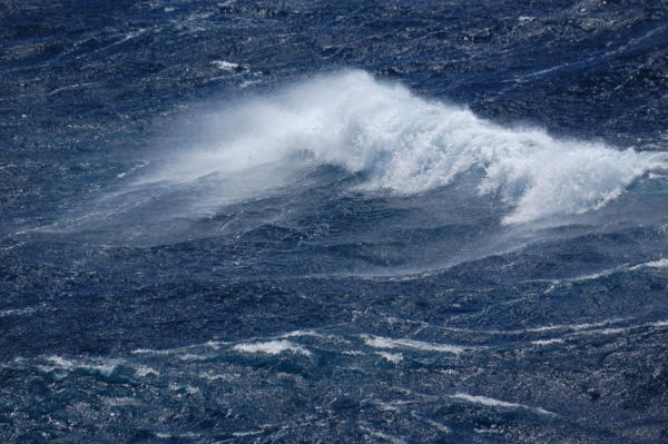 Windswept sea
