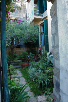 Garden somewhere in Cinque Terra