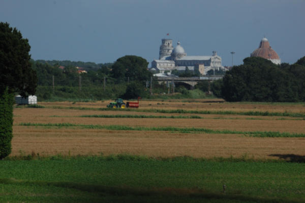 view of Pissa