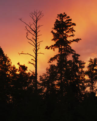 Sunset at Hard Labor Creek State Park