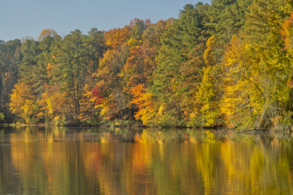 Fall color at Sims Lake Park