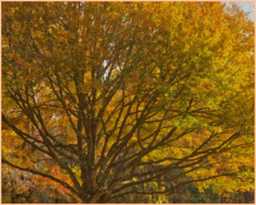 Last autumn color in Bridle Ridge