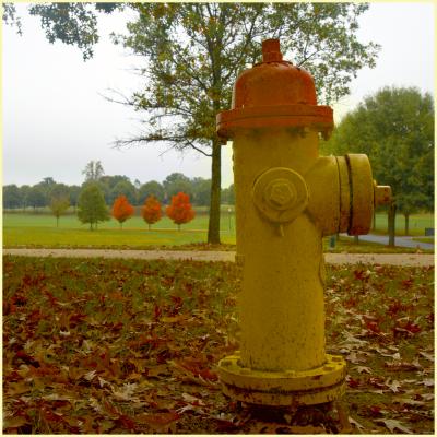 The hydrant