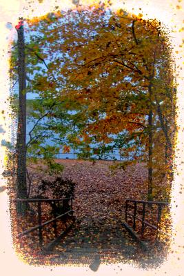 Fall color at West Bank Park