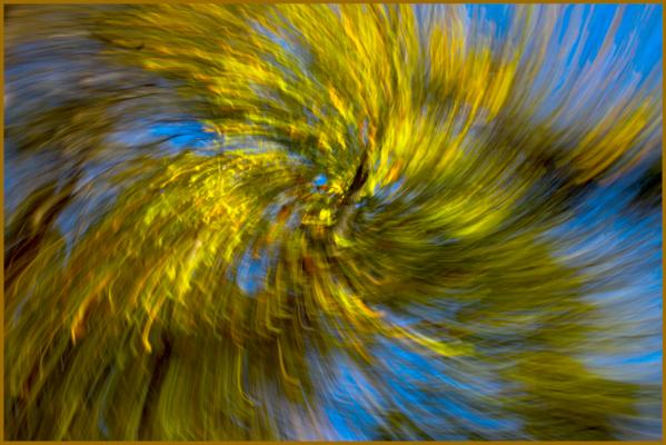 Abstract at Indian Seats