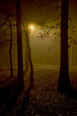 Out the front door after dinner