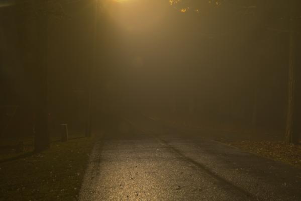 Early fog on the second day