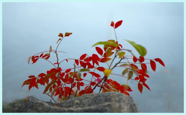In the fog at West Bank Park