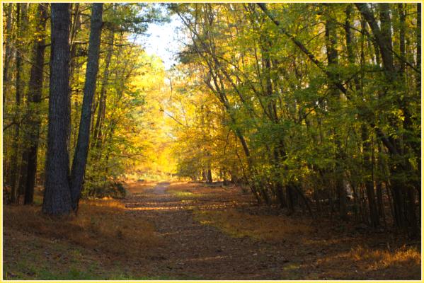 Early light at the Jones Bridge parking lot