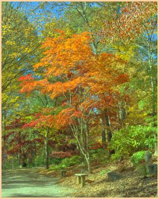 More from the Japanese Garden in Gibbs Gardens