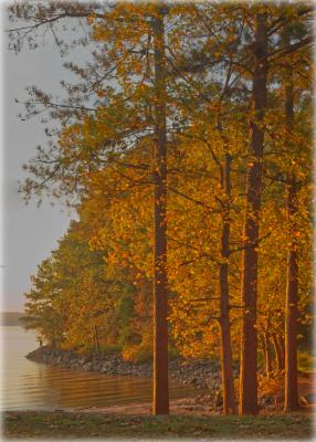 Color in the trees at Lake Lanier