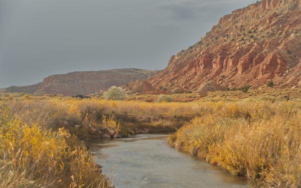 The river runs through the ranch