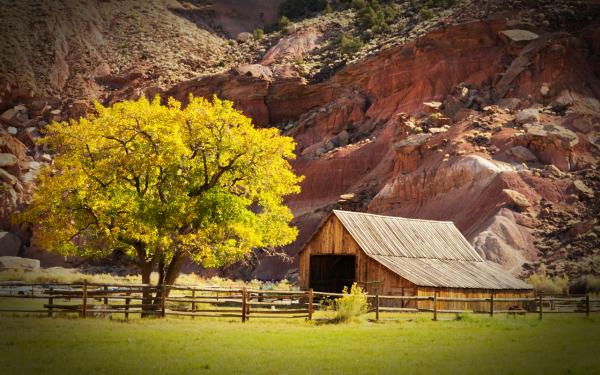 The barn at the Gifford House