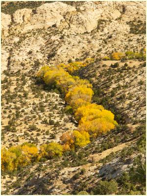 A last view from The Hogback on the way back to the ranch