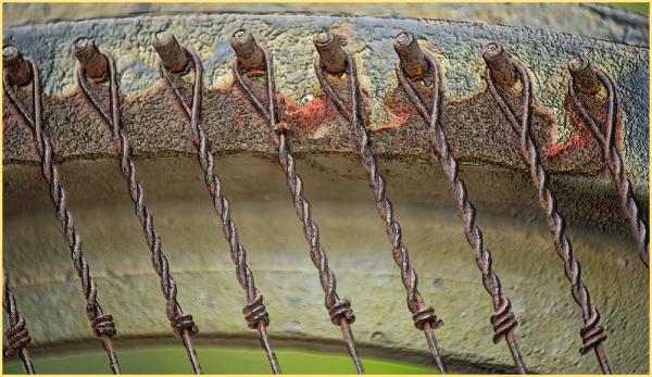 Detail of the piano inards at the Beeloved Garden of the West Raleigh Presbyterian Church