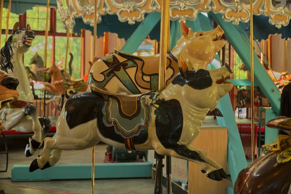 The carousel at Pullen Park in Raleigh, NC