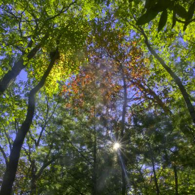 First fall color at Fort Mountain State Park