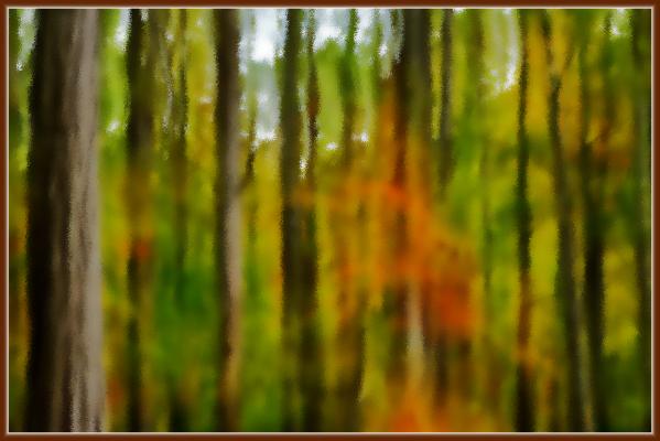 Abstract of the color