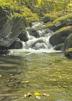 A third view along Roaring Fork Nature Trail