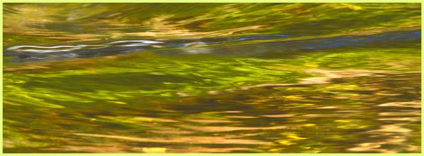 Reflections in the Little River