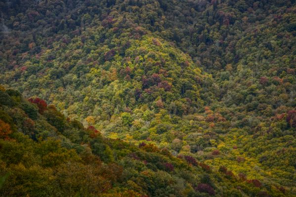 Hillsides seen from Newfound Gap Road (US 441) on a cloudy, rainy day