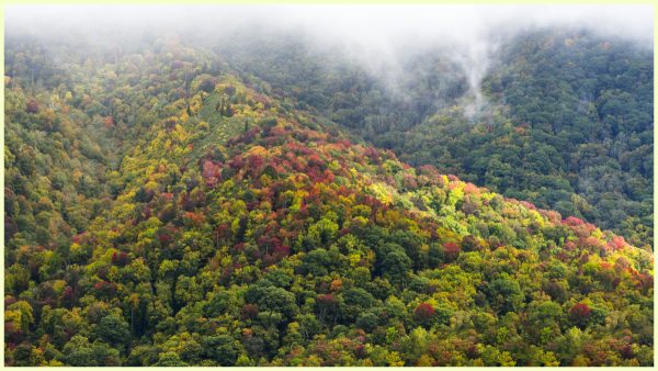 Another view from Newfound Gap Road