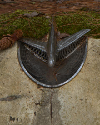 A nice hood ornament