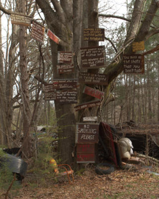 The tree of knowledge