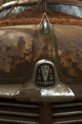 A Hudson, a rare breed