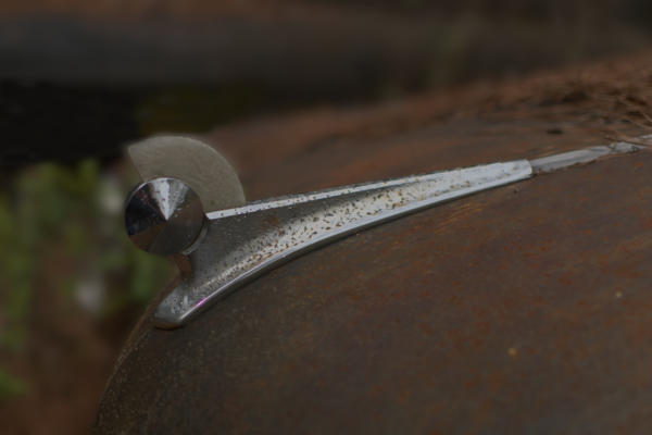 Another random hood ornament