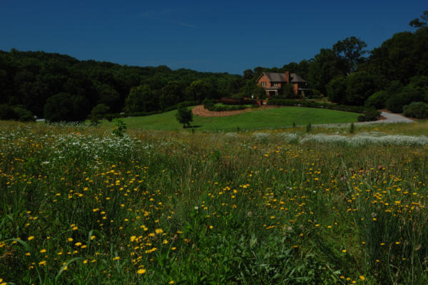 DSC 3860
