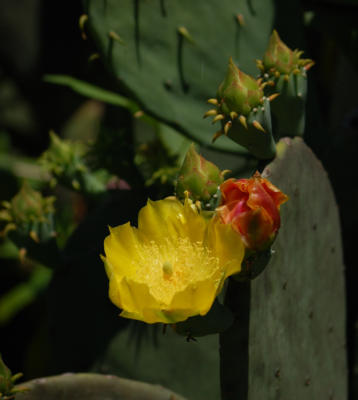 DSC 3912
