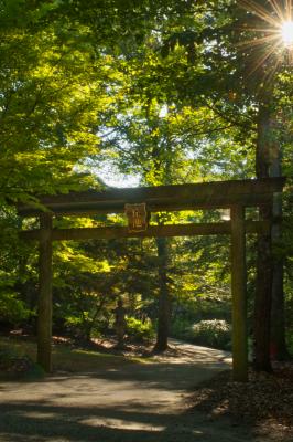 Gate to the Japanese Garden
