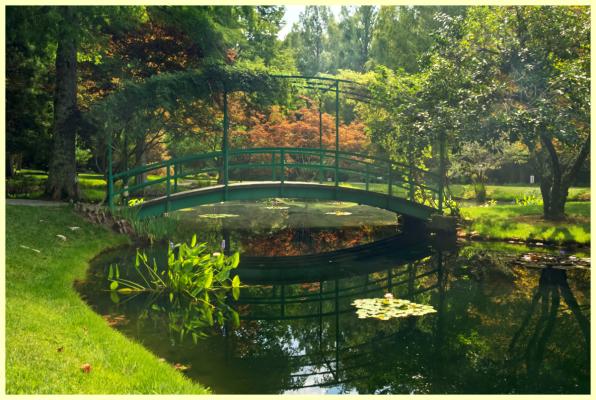 Monet's bridge