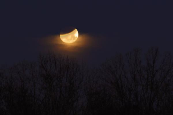 Partial Lunar eclipse on Jan 31