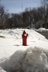  Fire hydrant with a marker so it can be found when buried in snow.  Don't see that in Georgia.